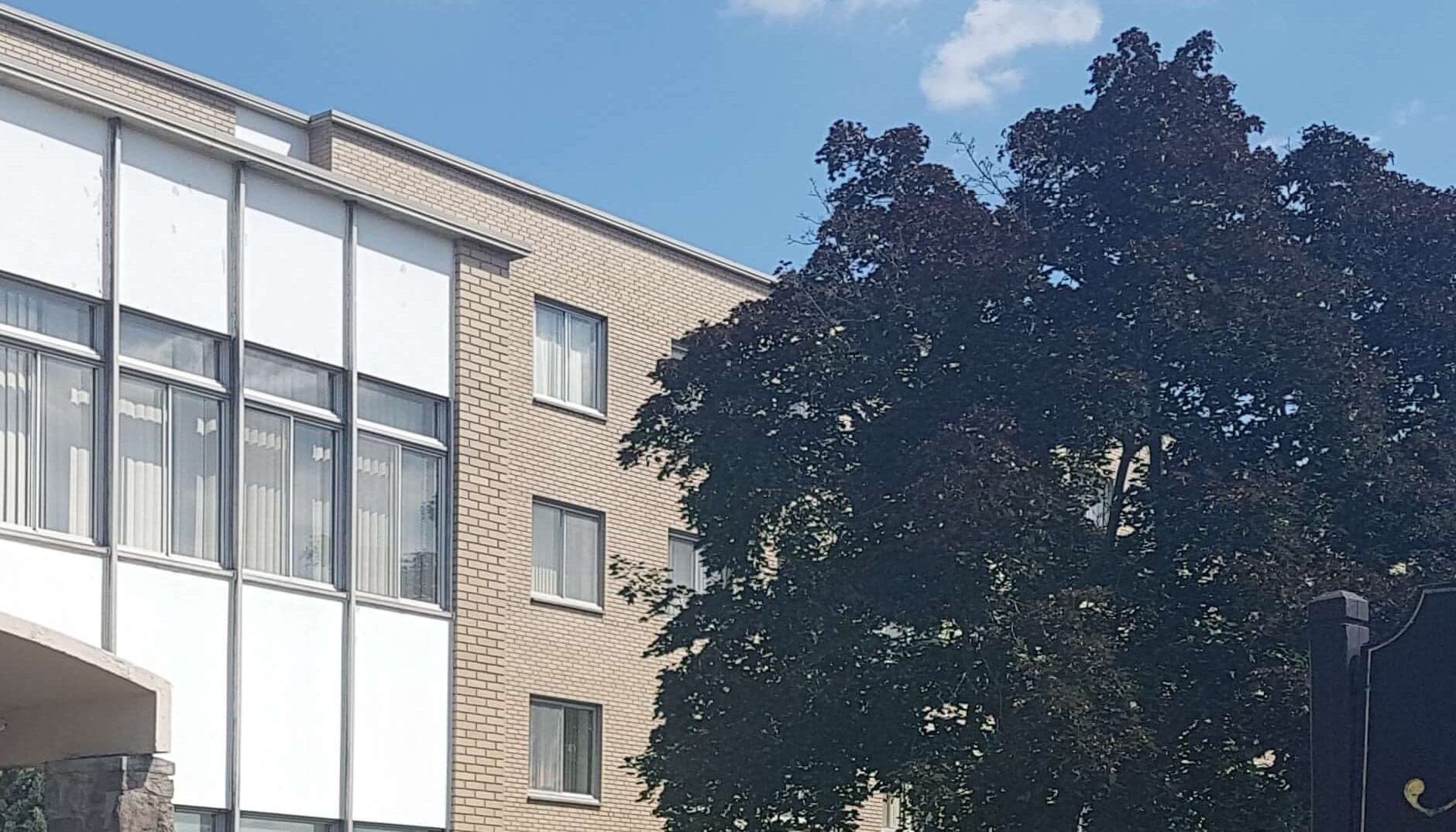Fasad brik Pavillon Montfort, gwo fenèt li yo ak gwo pyebwa erab ki bò kote l